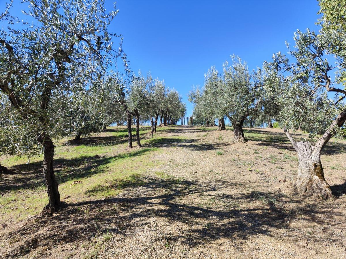 Agriturismo Sommassa Greve in Chianti Exteriör bild