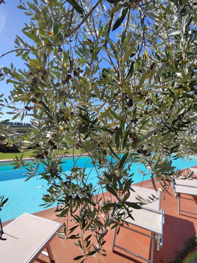 Agriturismo Sommassa Greve in Chianti Exteriör bild