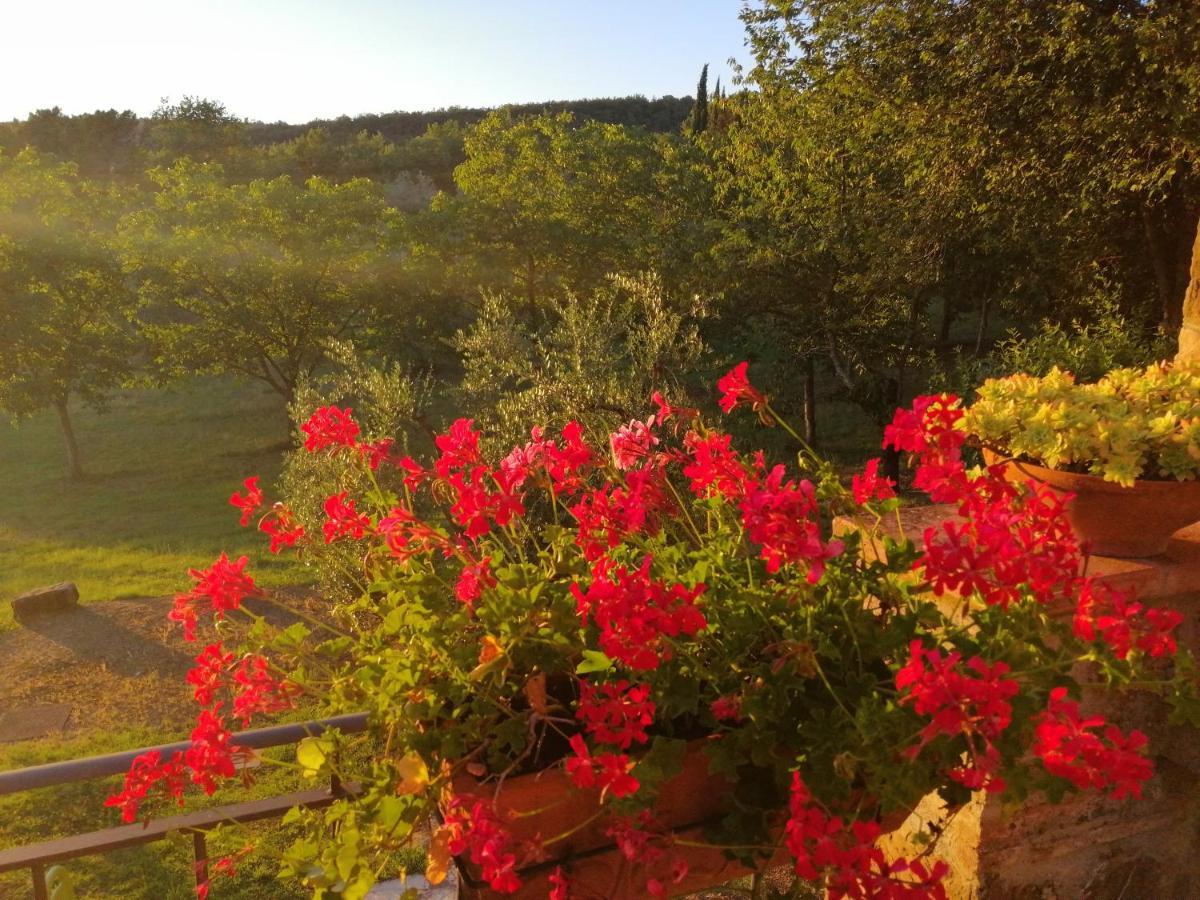 Agriturismo Sommassa Greve in Chianti Exteriör bild
